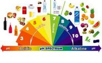 Dieta alcalinizzante: 12 cibi in grado si equilibrare il pH