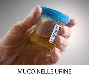 muco nelle urine