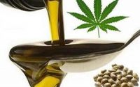 Olio di cannabis: principali utilizzi, benefici terapautici