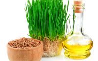 Olio di germe di grano: proprietà, uso e controindicazioni