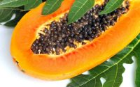 Papaya fermentata: proprietà e benefici