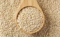 Quinoa: proprietà, valori nutrizionali e benefici per la salute.