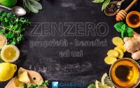 Zenzero: proprietà, benefici e controindicazioni